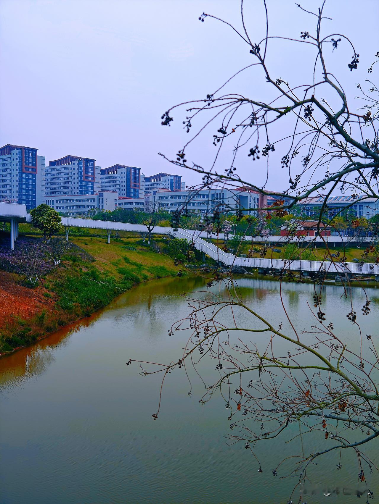福建省漳州一中西湖校区南门外的这条溪流，是漳州市区内河水系“三湘江”的一条重要支