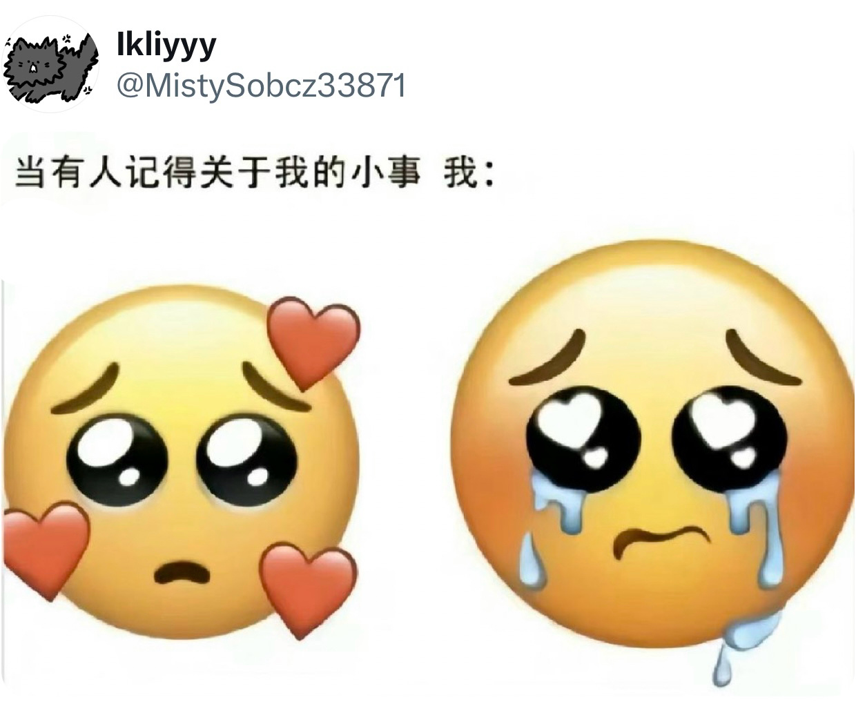 每个被认真接住的瞬间都想掉眼泪 