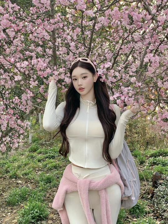 春日来信 🌸