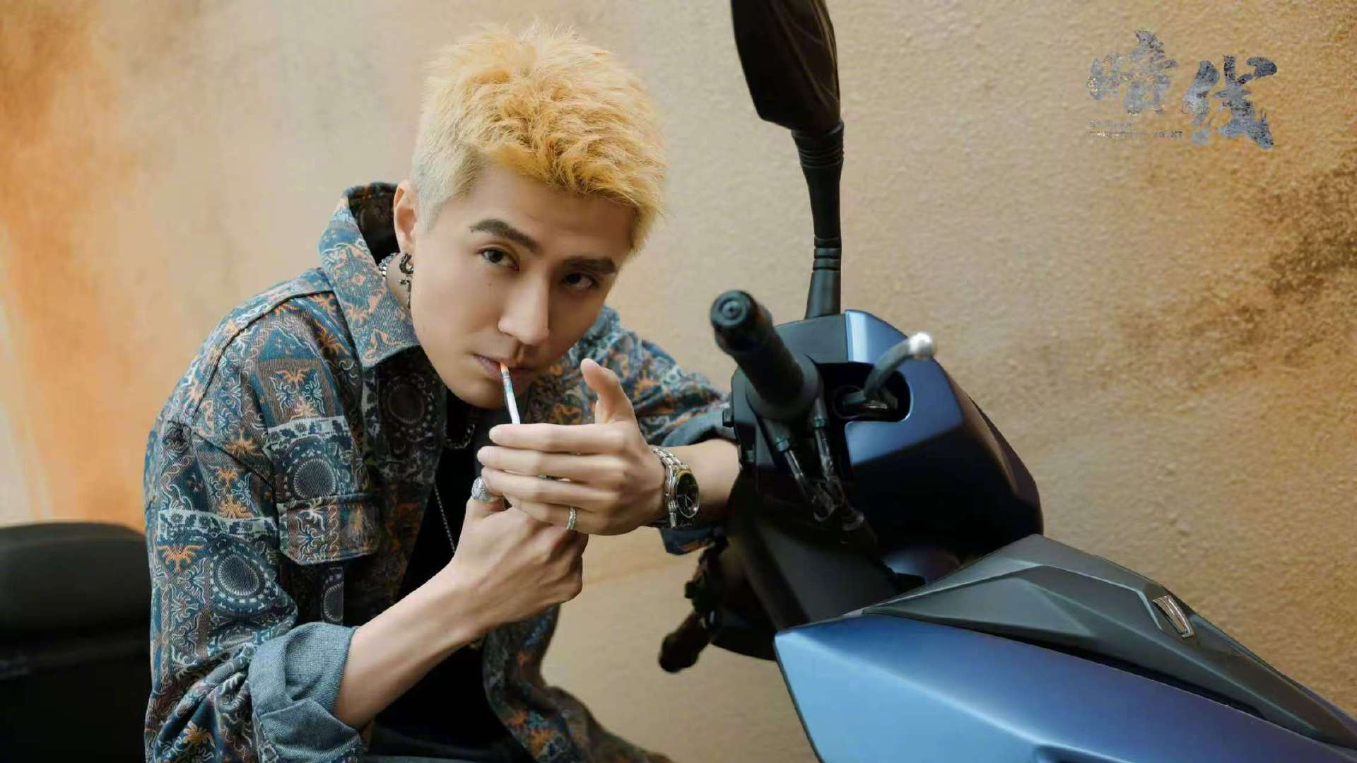 居然有人能把这么多剧抛脸凑一起 《暗线》这波真的太懂了！把这么多剧抛脸演员凑到一