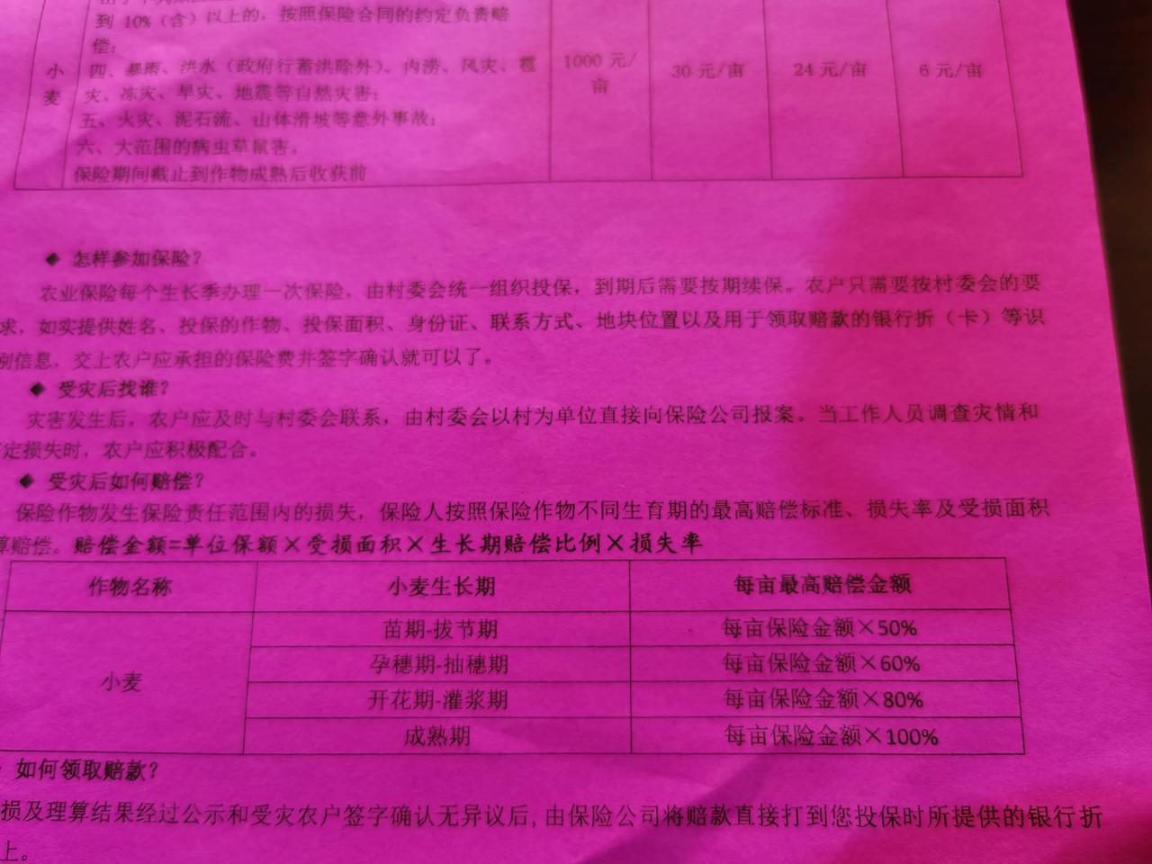 小麦保险6元钱一亩，最高每亩地可赔付1000元，为什么这么好的事情，村里面的人却