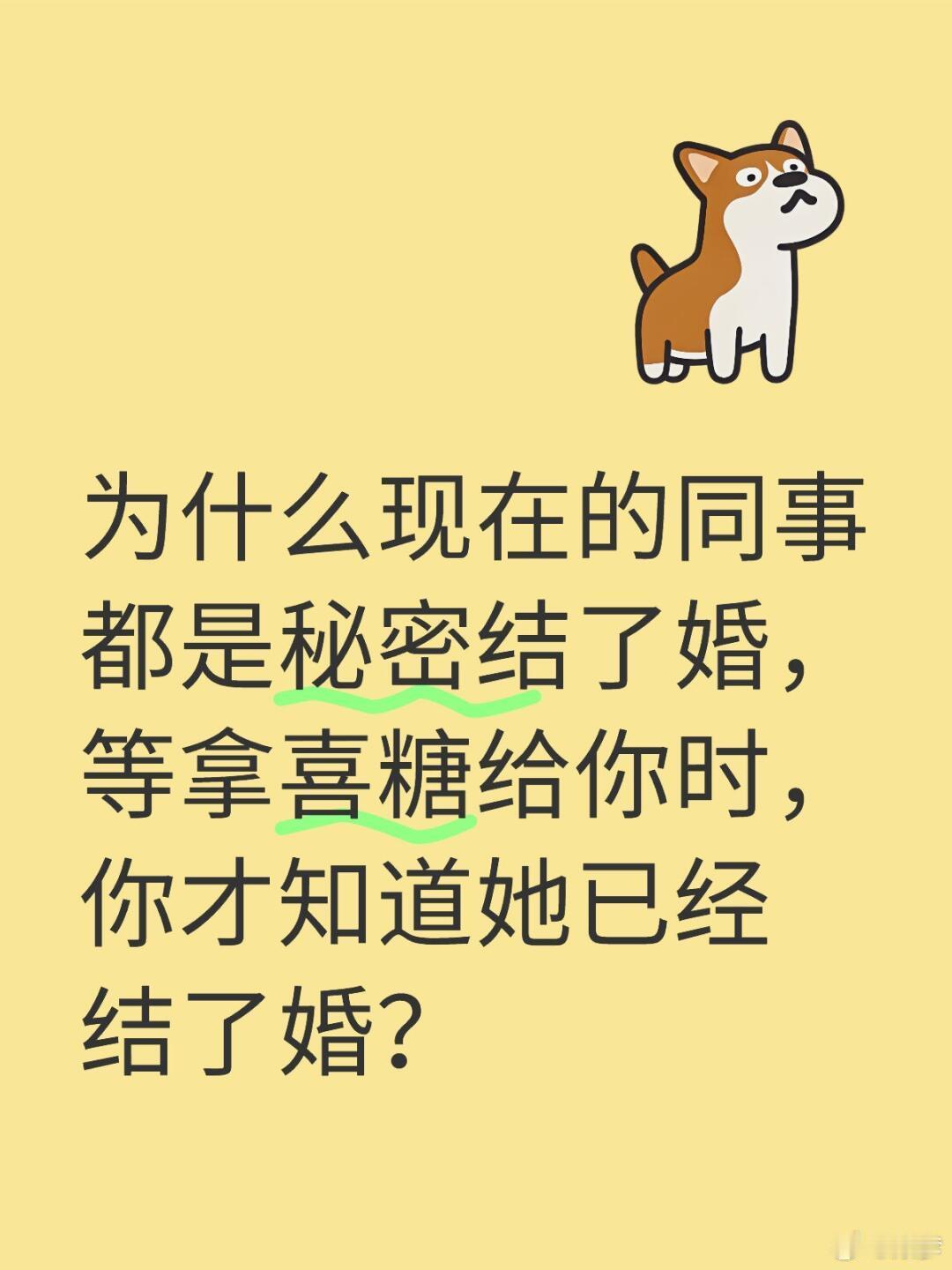 为什么现在的同事都是秘密结了婚 如果不是要请婚假我都不想说 