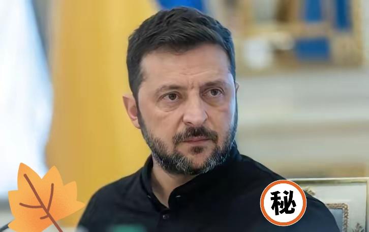 快讯 快讯
乌克兰总统泽连斯基宣布了！
当地时间11月9日，乌克兰总统泽连斯基签