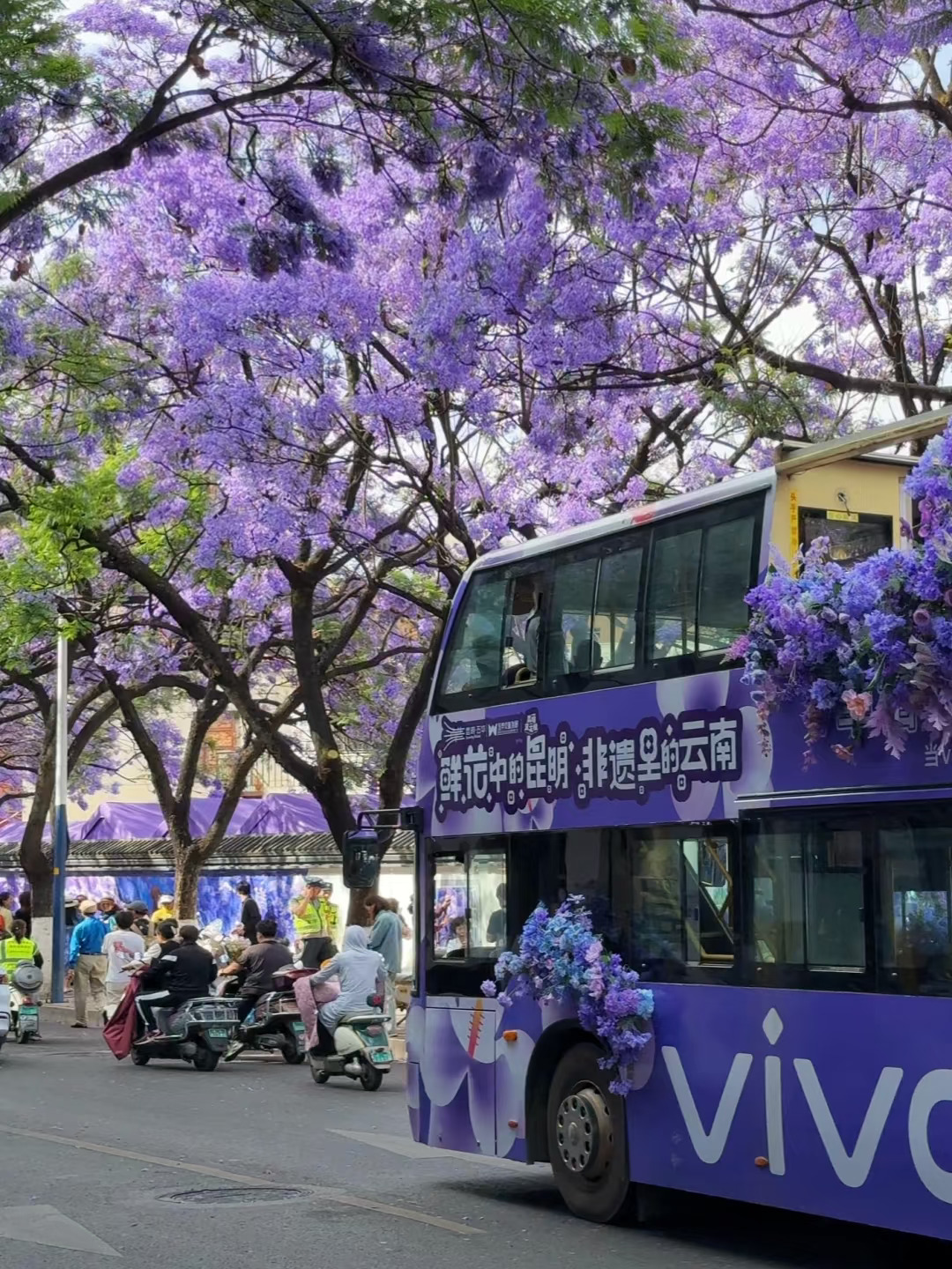被紫色包围的浪漫，生活在这里太幸福了！