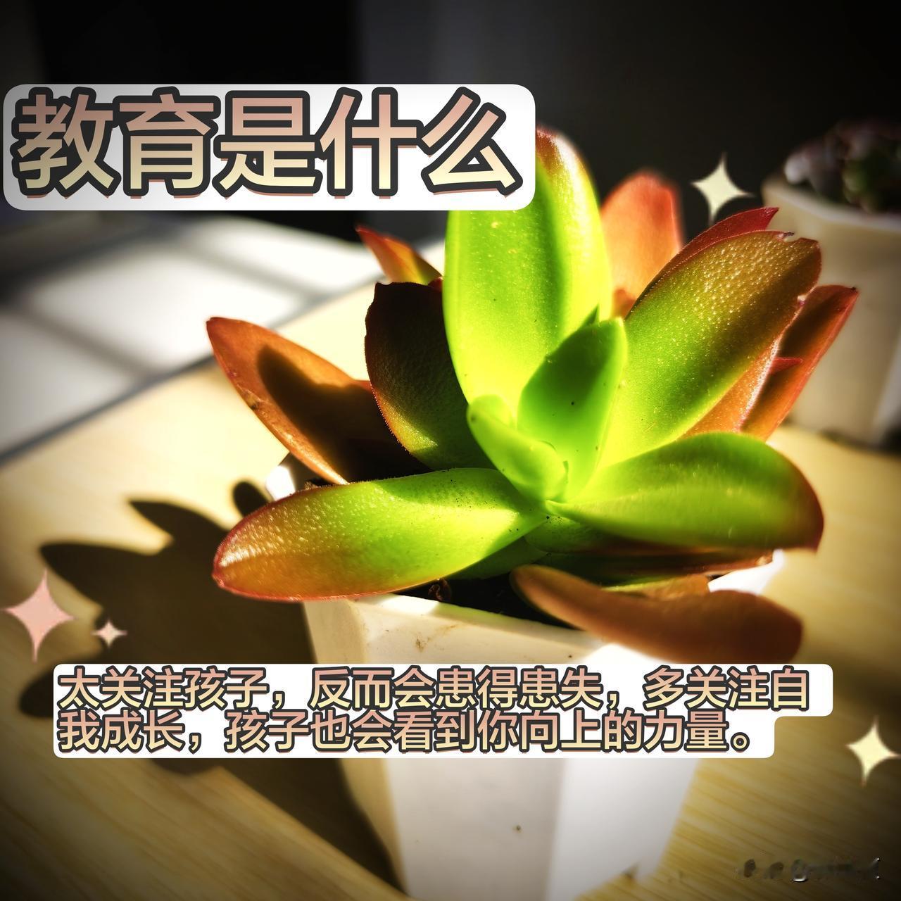 今天的教育金句是——太关注孩子，反而会患得患失，多关注自我成长，孩子也会看到你向