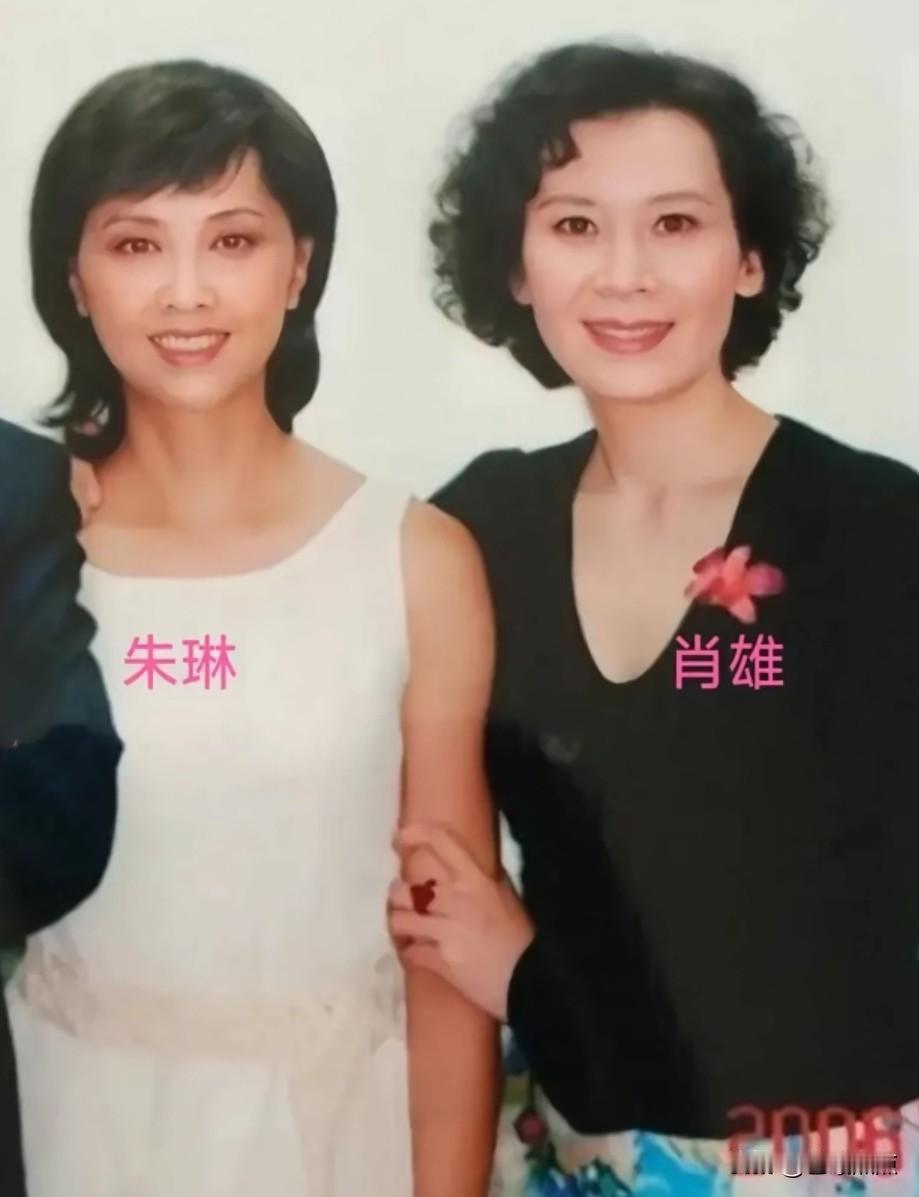 2006年，56岁的朱琳和48岁的肖雄同框亮相。
这两位知性又娟秀的影视明星，在