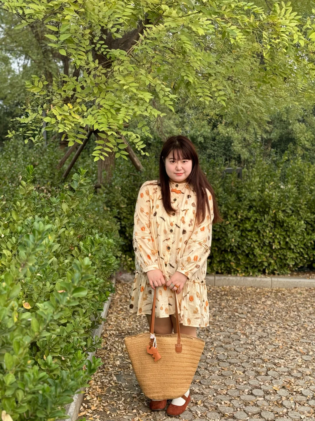 160斤 把秋天穿在身上吧 秋叶连衣裙👗