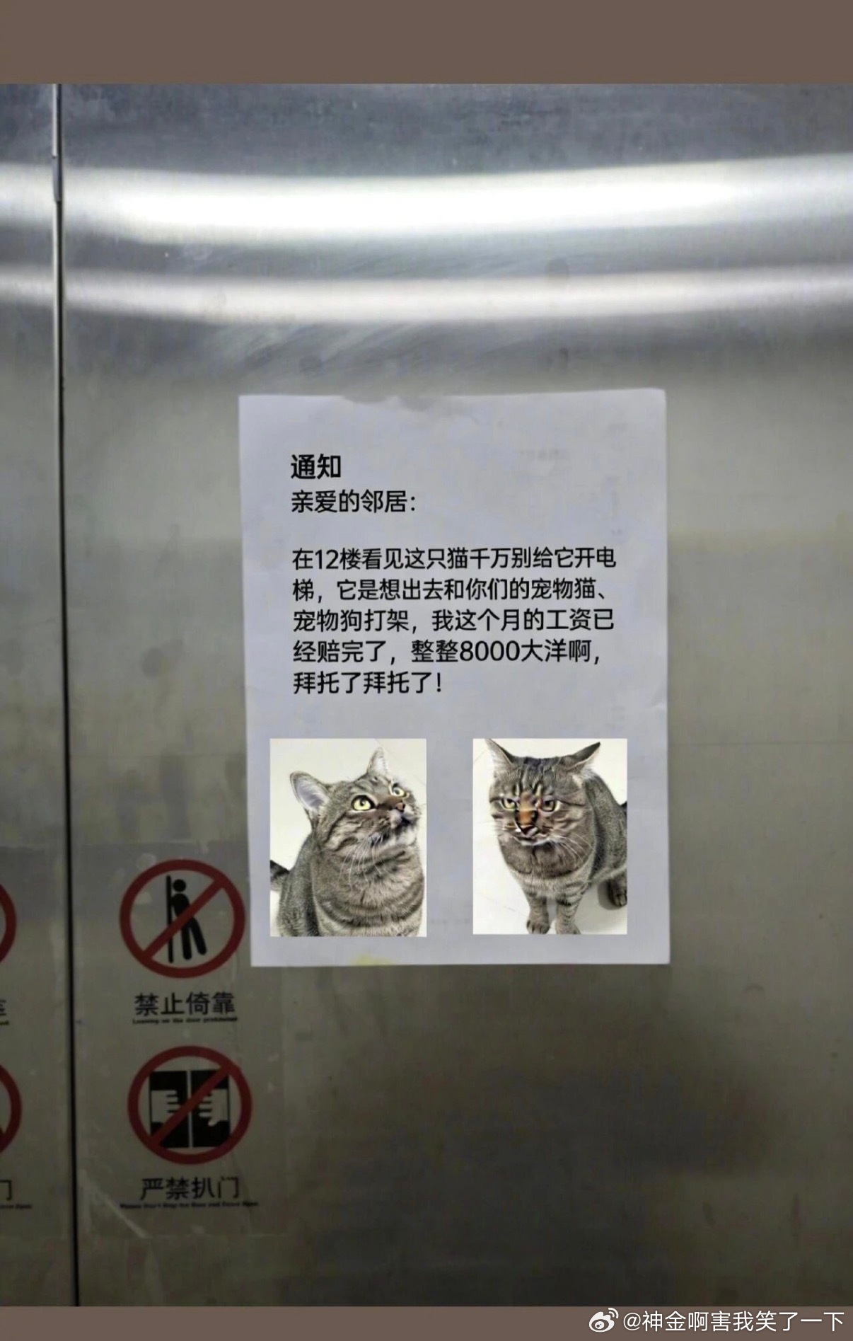 6046我妈叫我碎钞机 