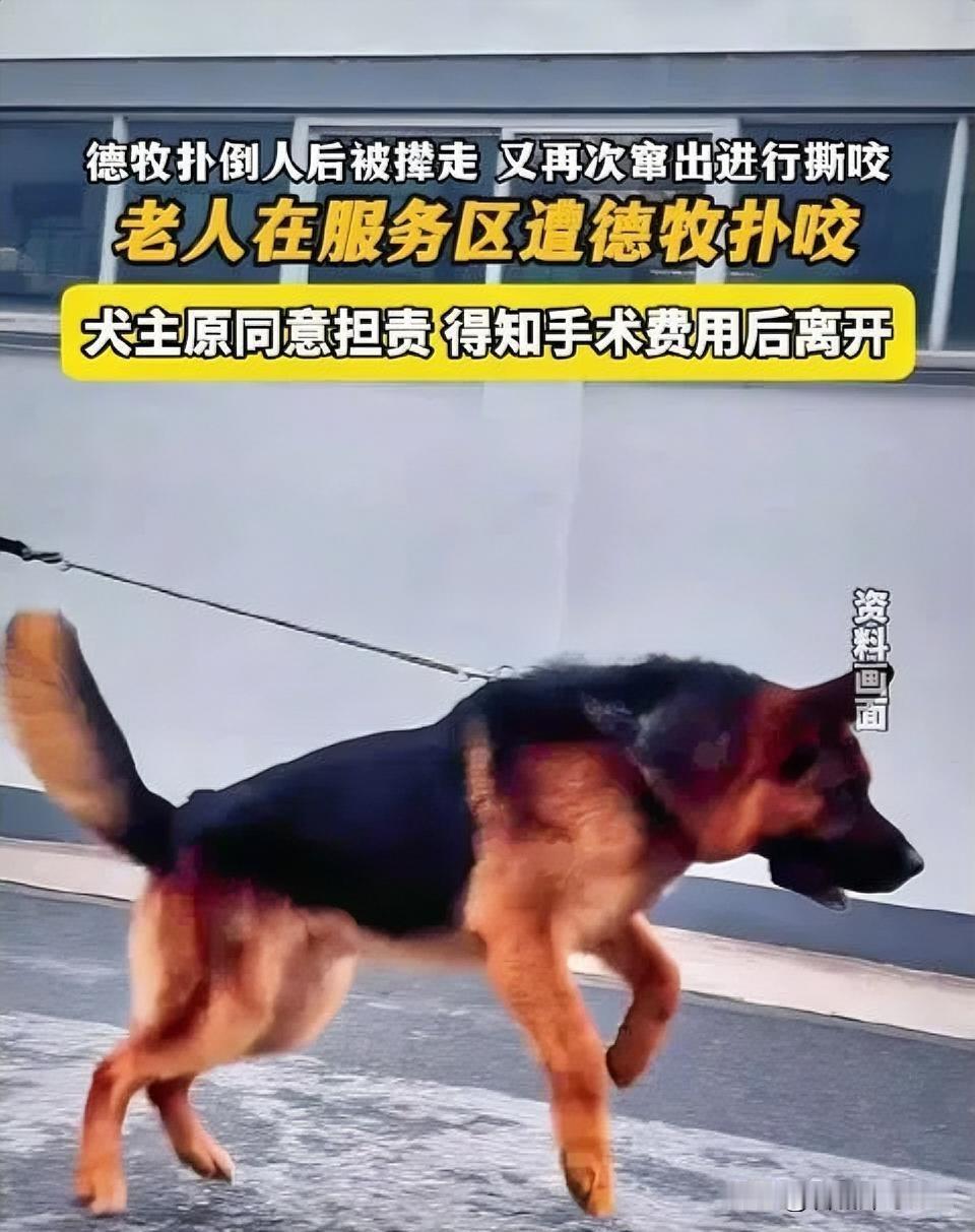 山东籍女子一家到云南旅游，在服务区休息时，60多岁老母亲出去溜达，突然被一只未拴