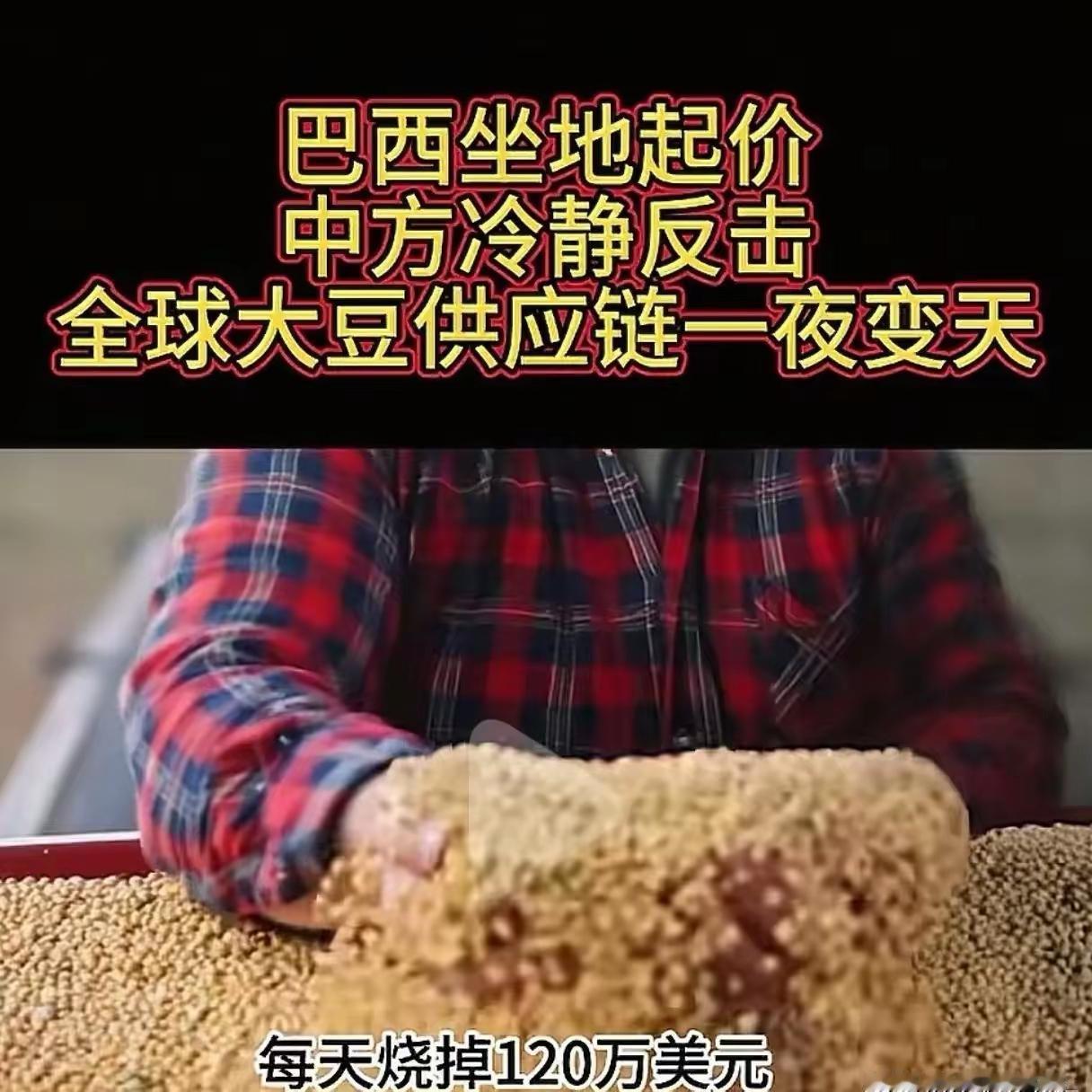 巴西为美国两肋插刀