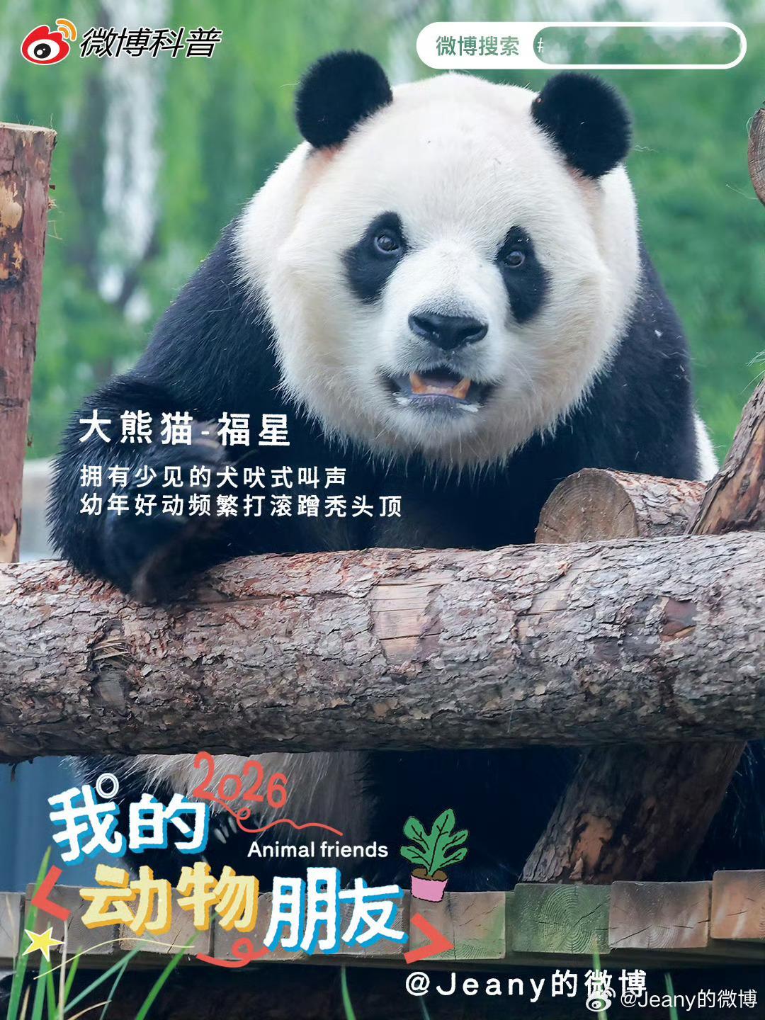 拍啥啥火近期入选想低调真难2026我的动物朋友