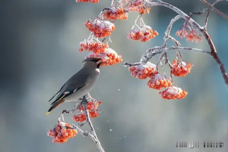 在这清冷寒冬，真的没必要去取悦谁、追赶谁。就像周四早晨那干净清冷又带点温柔的空气