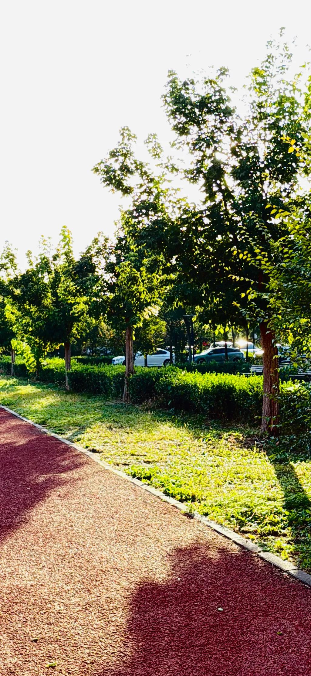 想法
文/图 妘朵

想法站在蹩脚的深处
影子的祈求，沿地平线裂开
落了的花瓣，