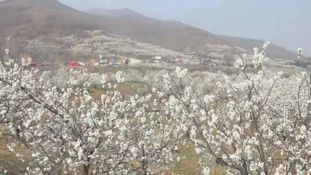 上联：读世间名著，求下联行万里山河