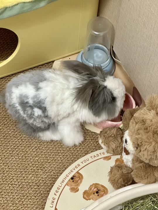谁也不能阻止我干饭！