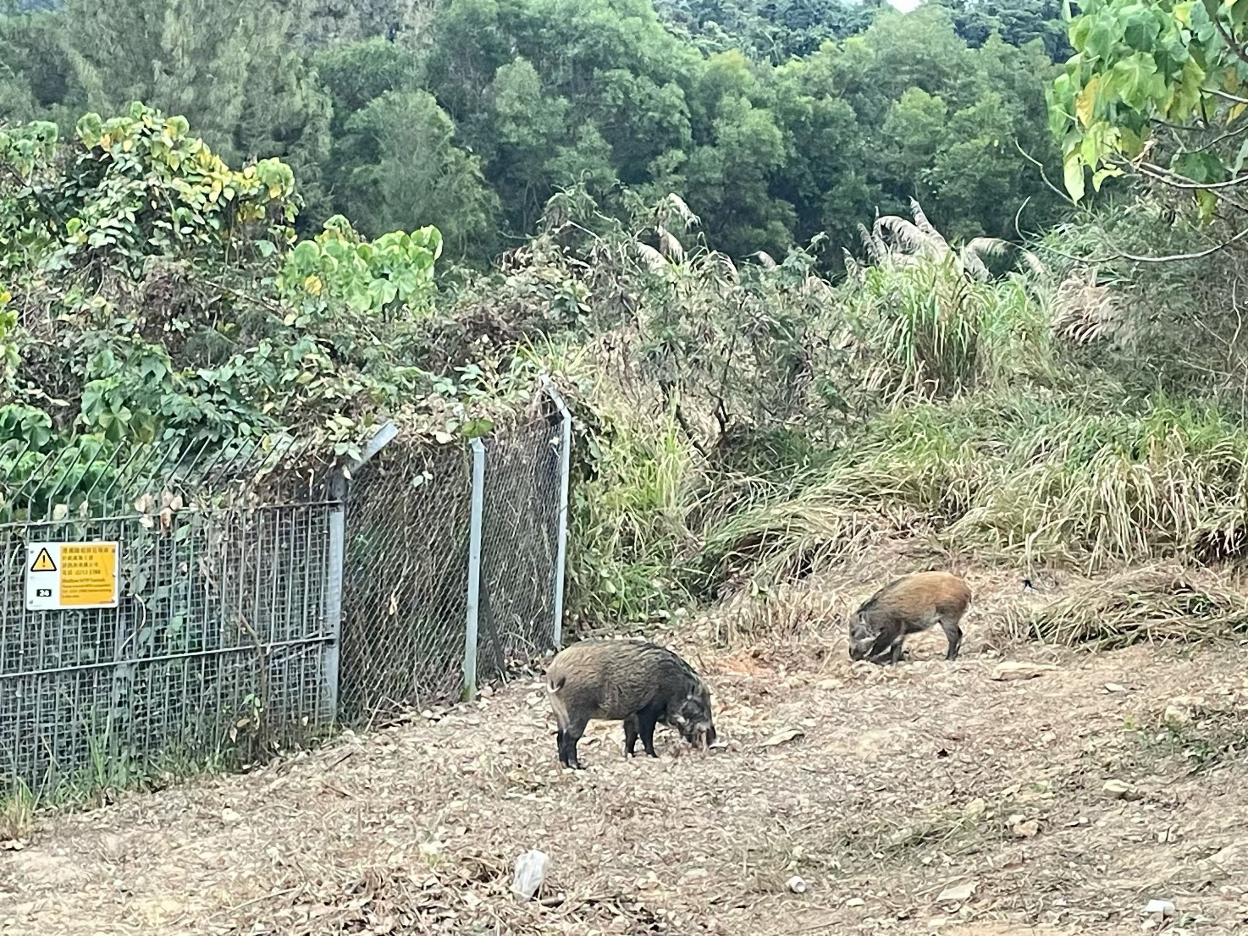 慢牛=熊市、从6月份到目前沪指涨了750个点，牛-熊只需要三天，周四周五下周一。