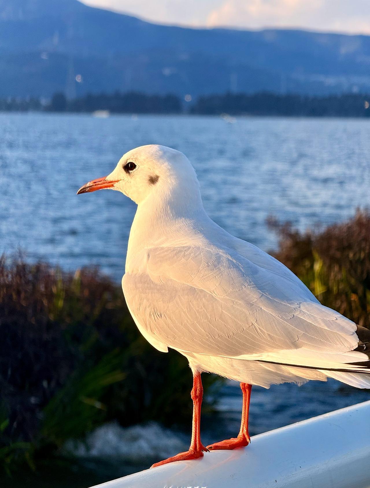 80后最顶级的炫富，没结婚，没孩子，没负债，没三高，没秃发，有点钱，有时间，睡得
