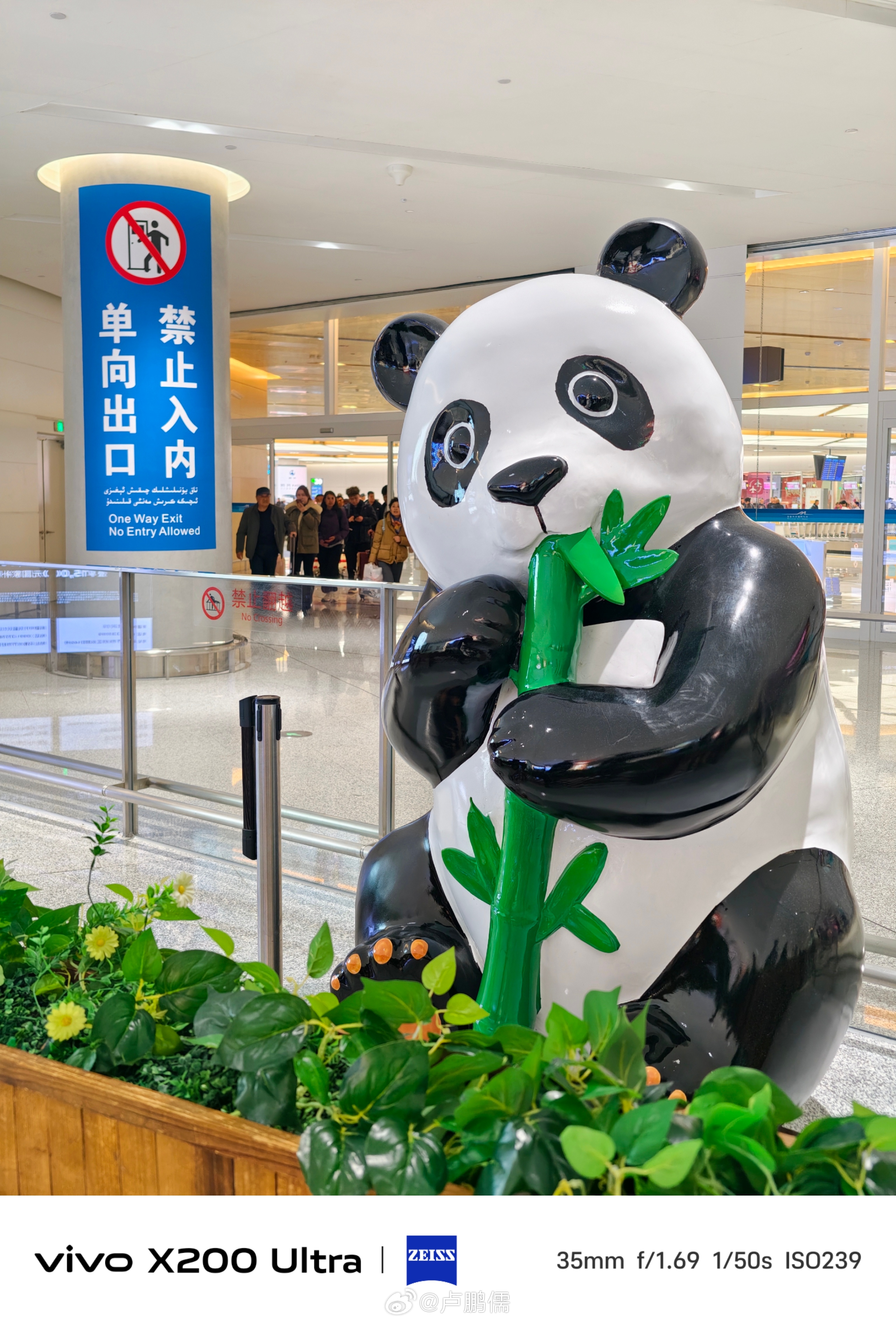 接老七 上班vivo新疆男篮小卢篮球世界