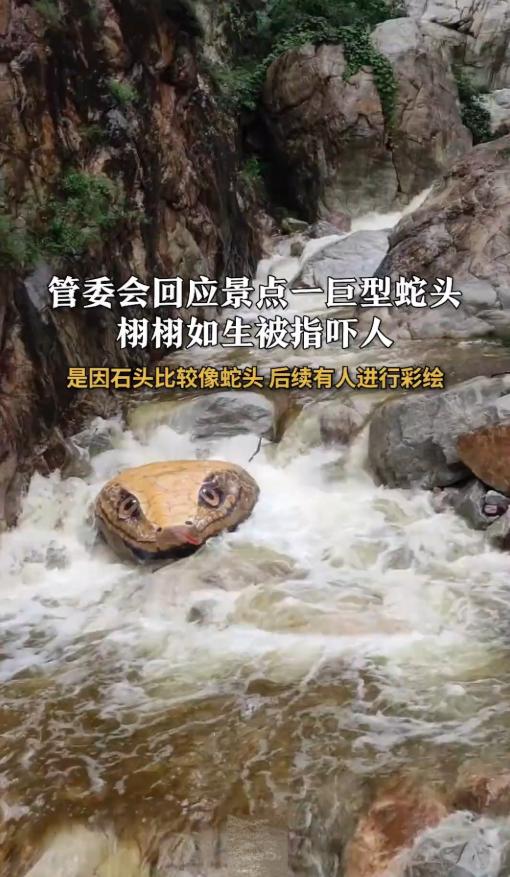 河南一景区惊现一个巨大的蛇头，游客们吓得四处逃窜，连拍照的人的手都抖了。视频上传