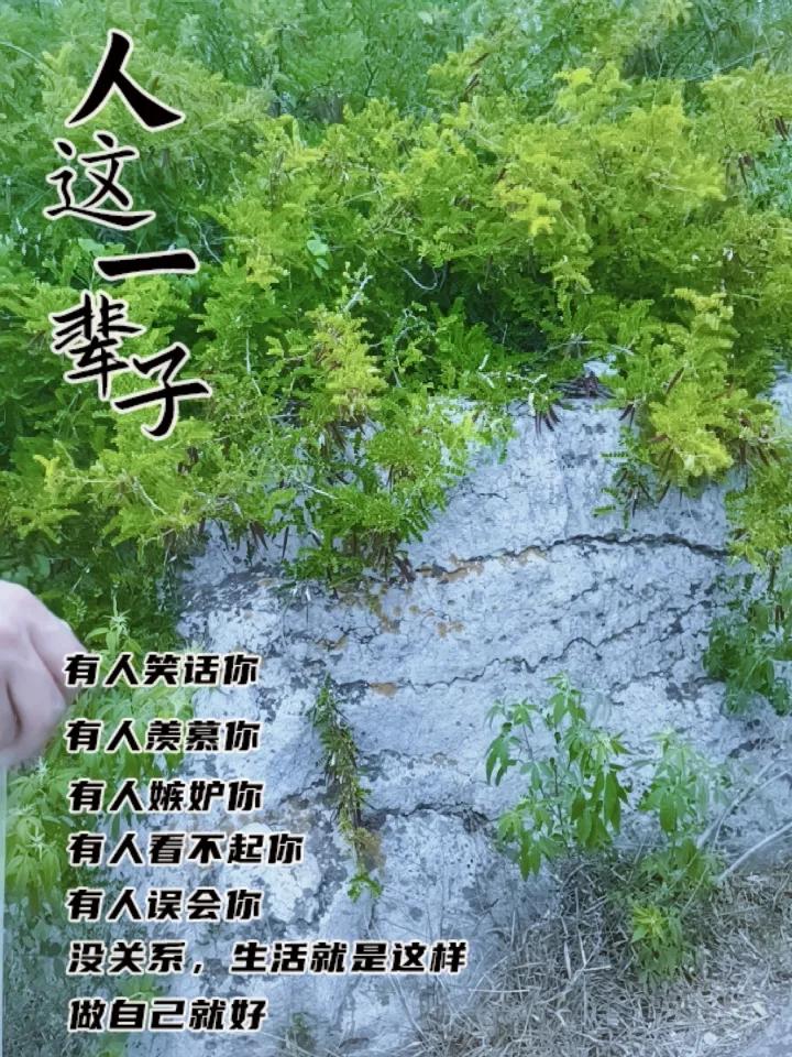 晒图笔记大赛