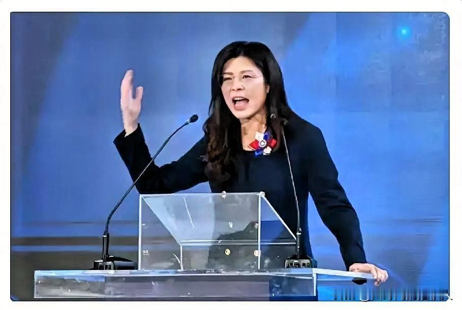 郑丽文登机赴陆前被美方急着约见，这波操作真的把干涉两岸事务的心思摆得明明白白！