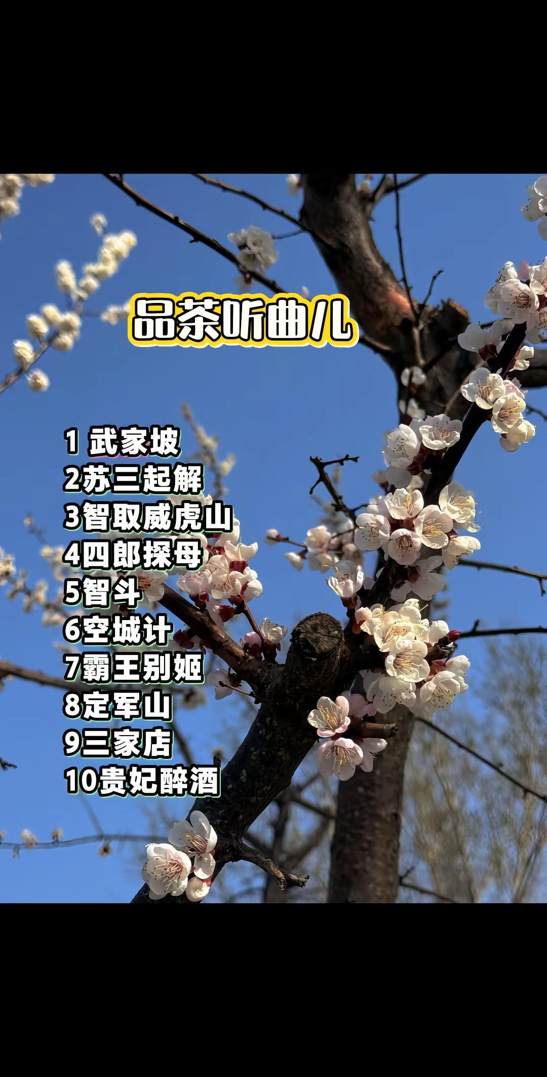 人老了，爱听戏了。经典京剧