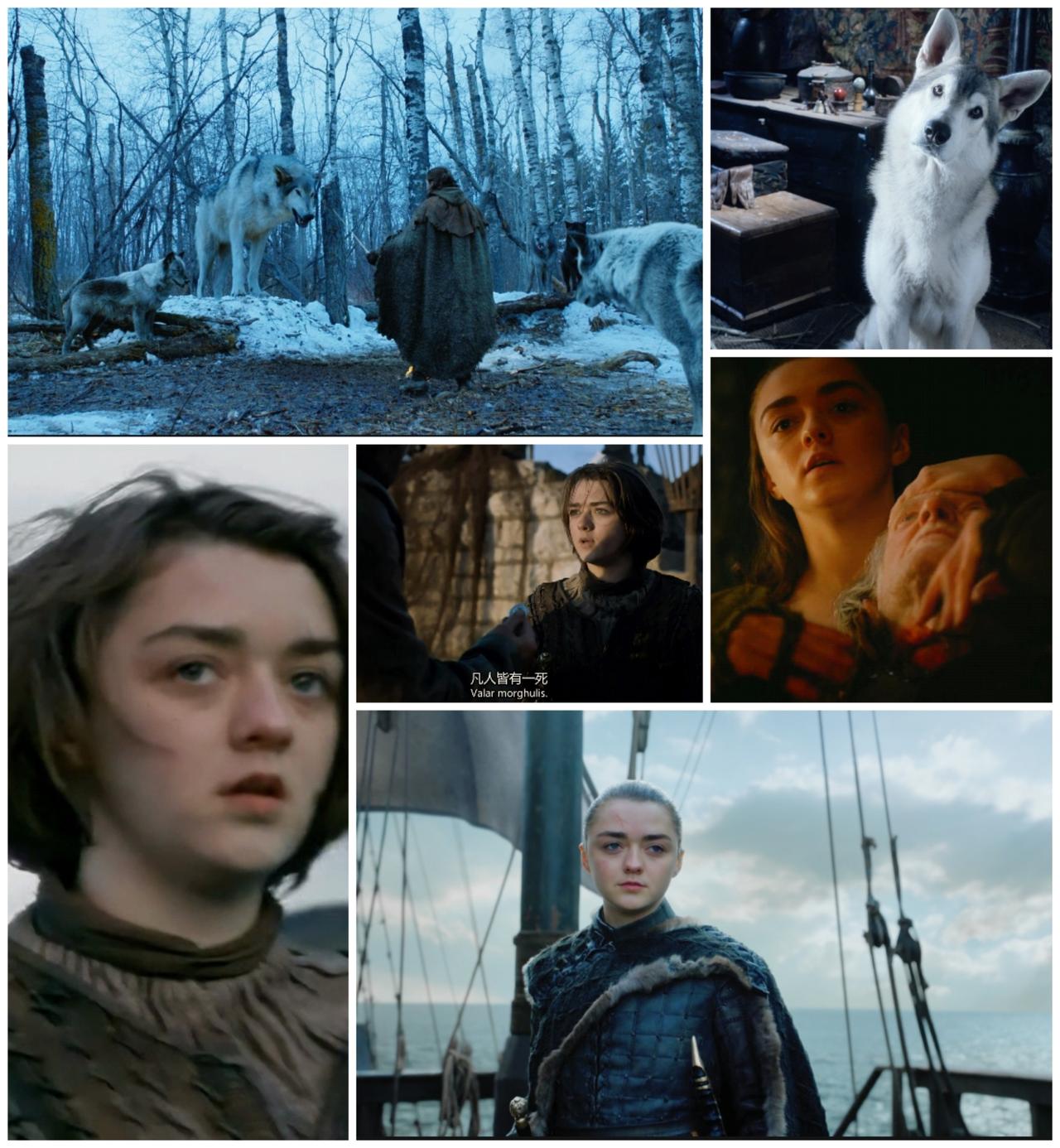 二丫，娜梅莉亚，哈士奇