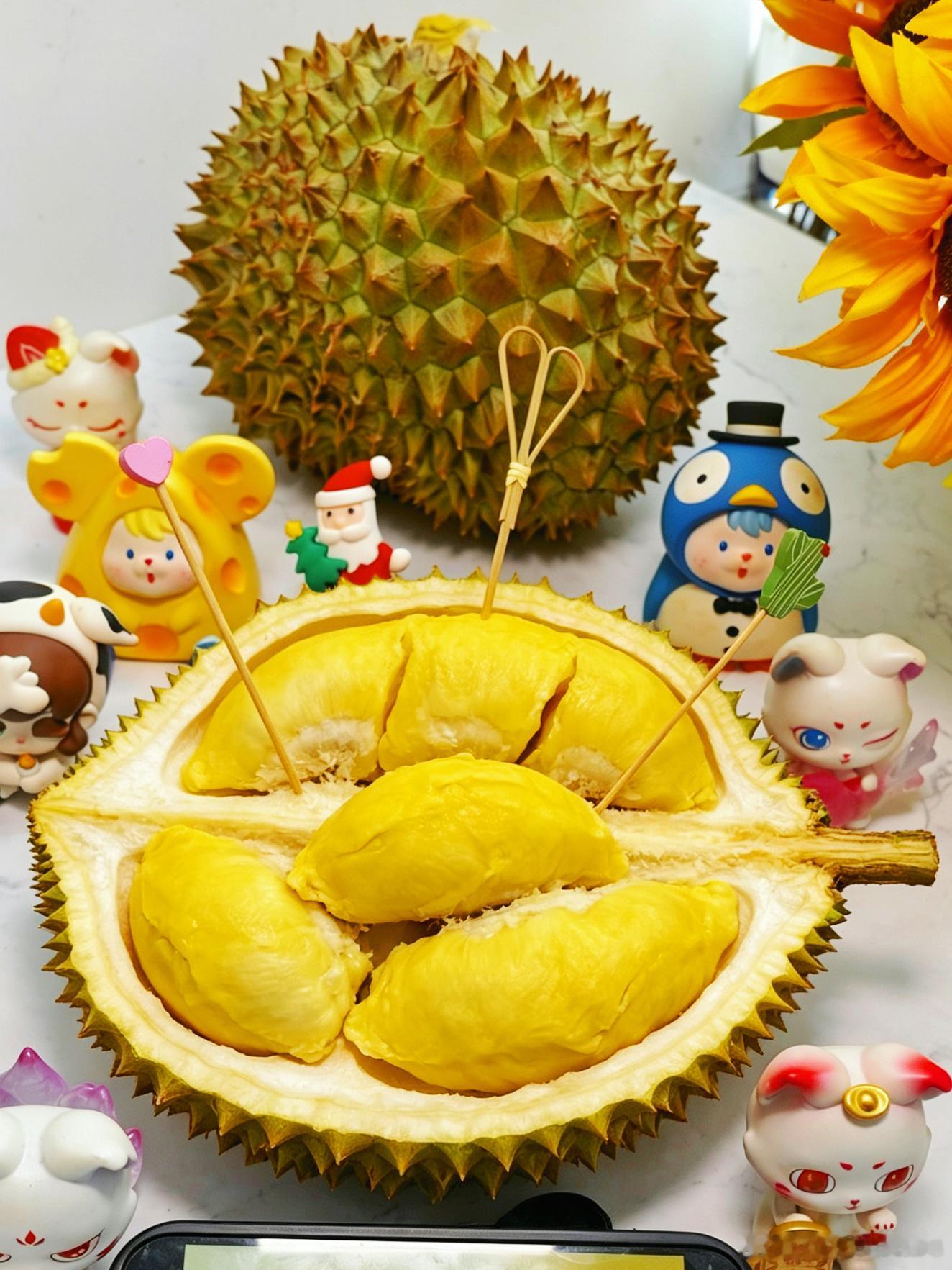 有同款“广州版知悭识俭妈”的，可来抄作业周末去哪儿新星闪光计划城市巡游记 ❤今年