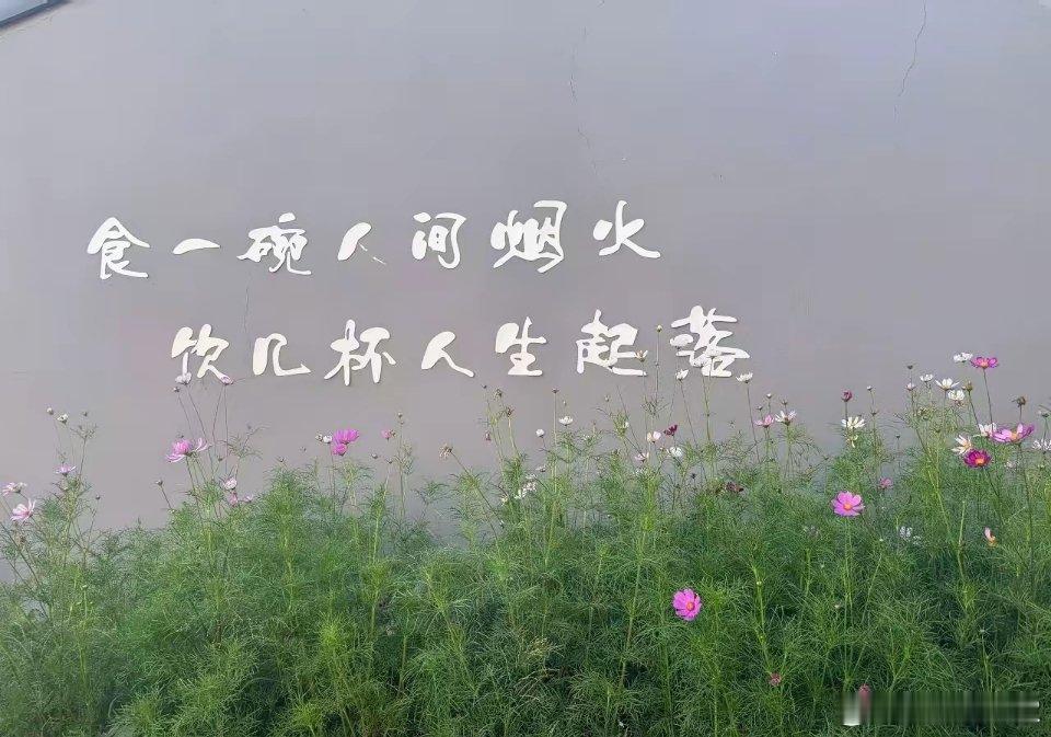 a股周一反弹力度不低，还得是科技创新，科创板，创业板指数，半导体材料，芯片，设备