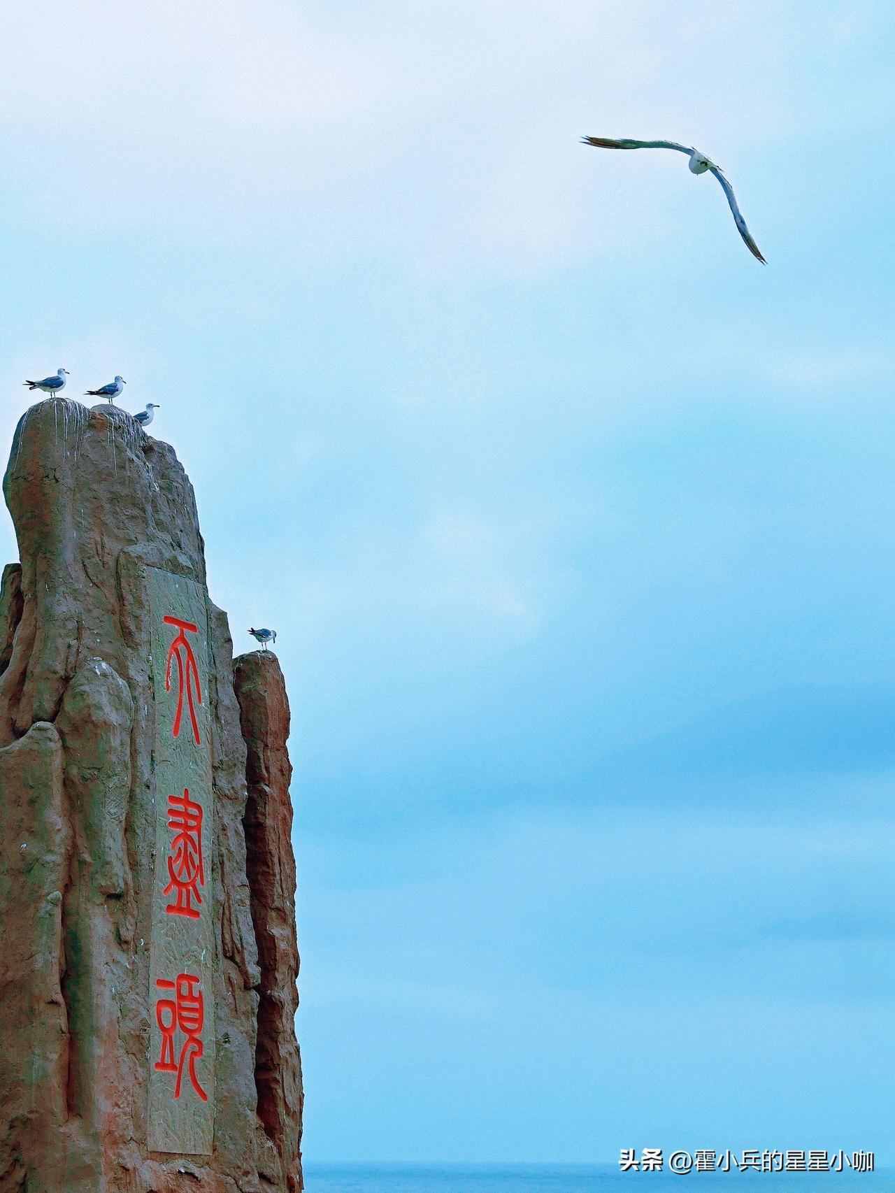 无人驾驶冲击出租车司机饭碗后，网约车这碗粥也不容易喝了。以前，以为可以“送外卖”