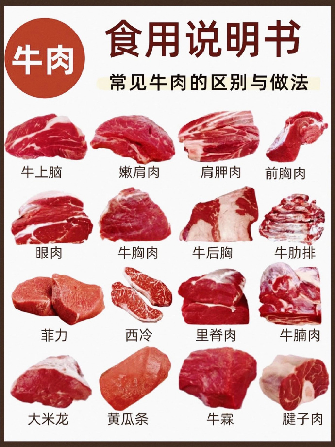 几张图告诉你，常见牛肉16个部位怎么吃！ ​​​