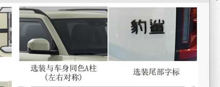 比亚迪皮卡Shark，在海外名声大噪那个，出口锻炼回来了，取了一个中文名：豹鲨！