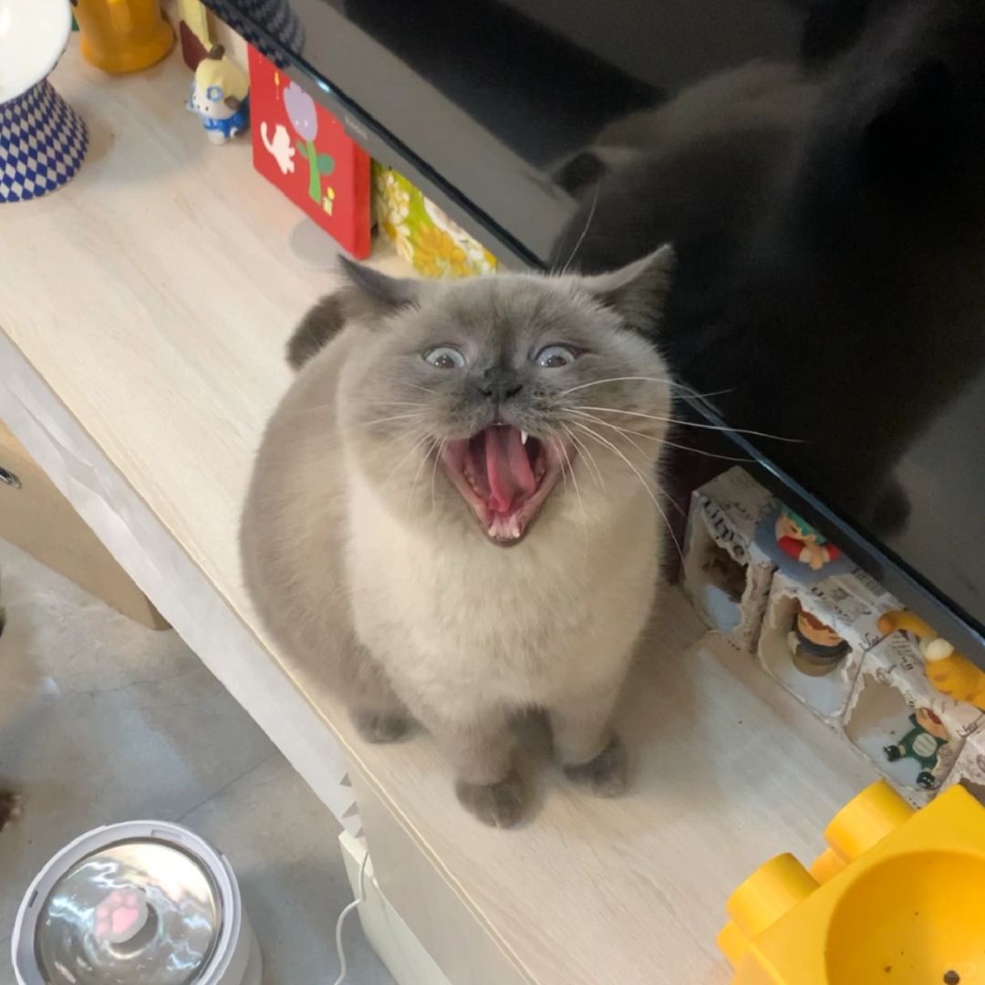 饿到嗓子眼都看到了