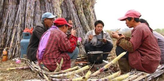 越南变化确实大，以前喊越南人过来广西砍甘蔗，一天50元人民币，后来变100人民币