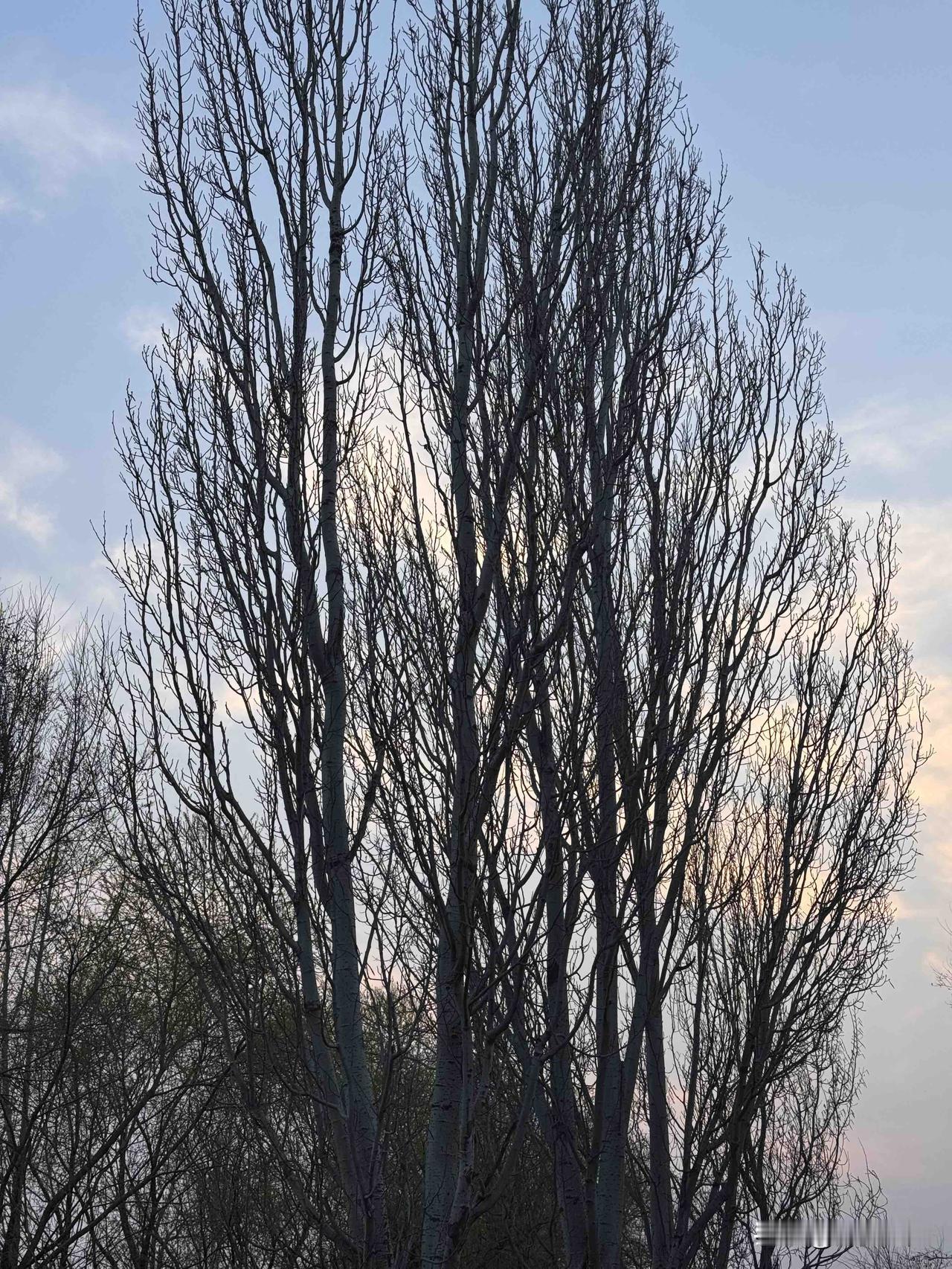 这可能是我近几年最难的时刻了，但我心里反倒没什么恐慌，也没什么焦虑。

说出来你