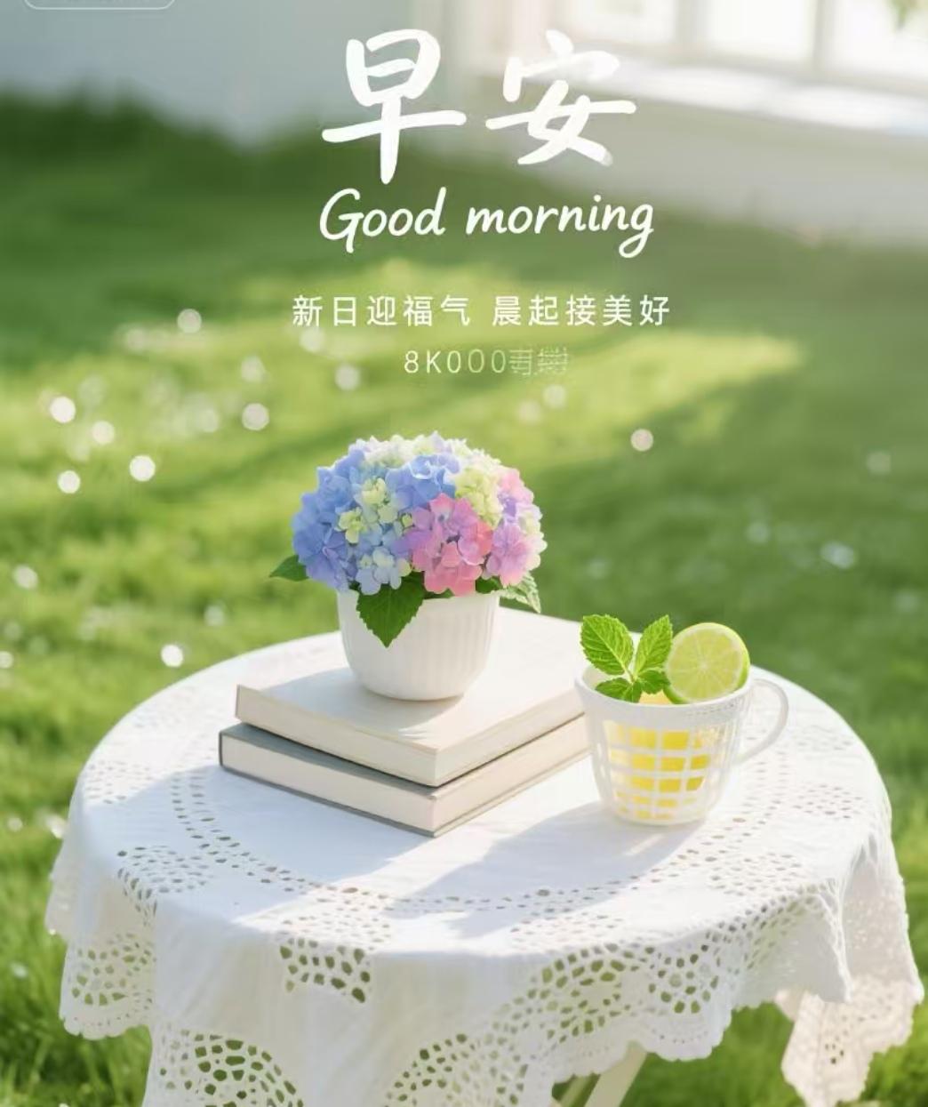 早安

新的一天

万事顺意

满心欢喜✨