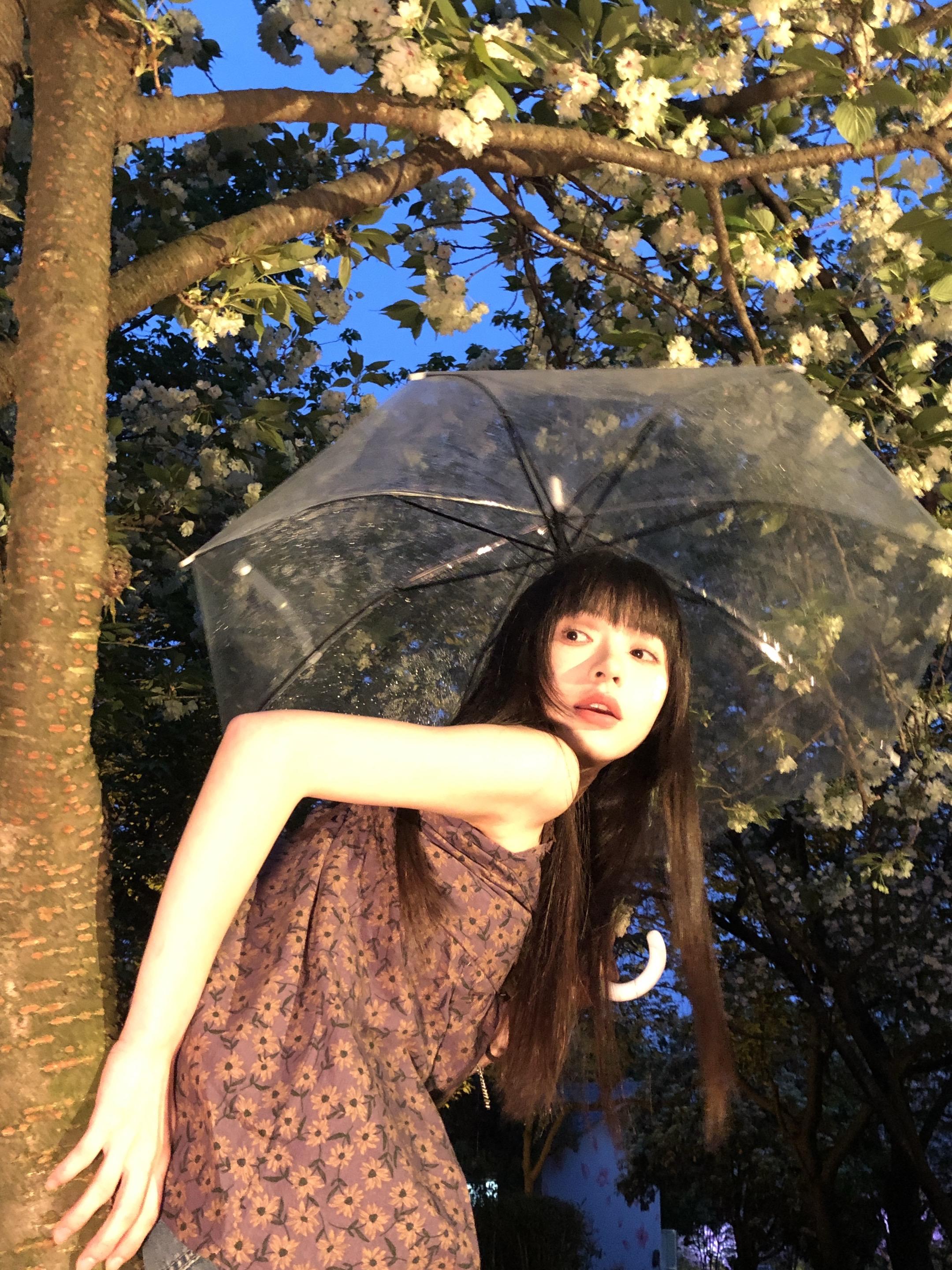 春天要和花见面 春天当然要和 见面