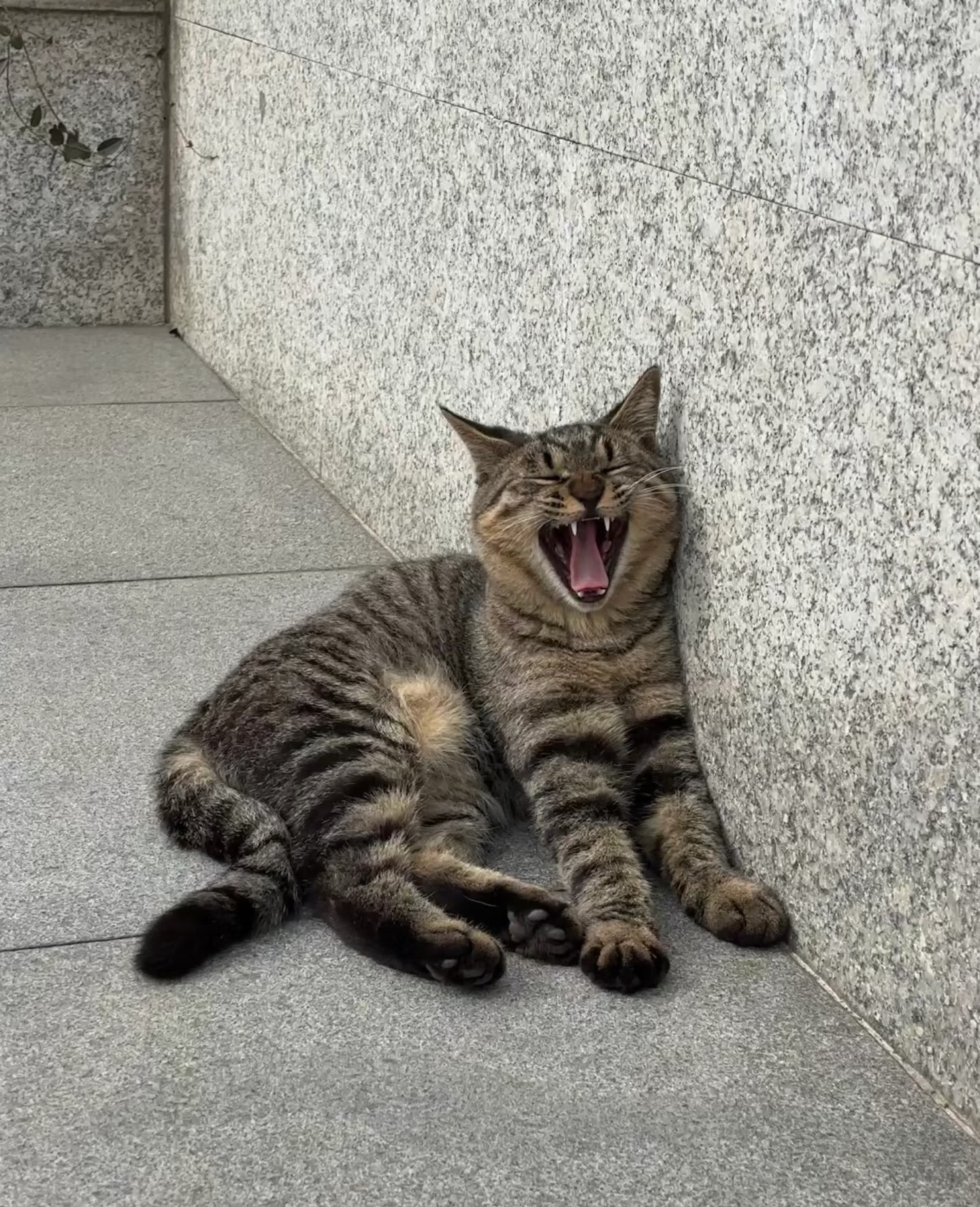 今天怎么样