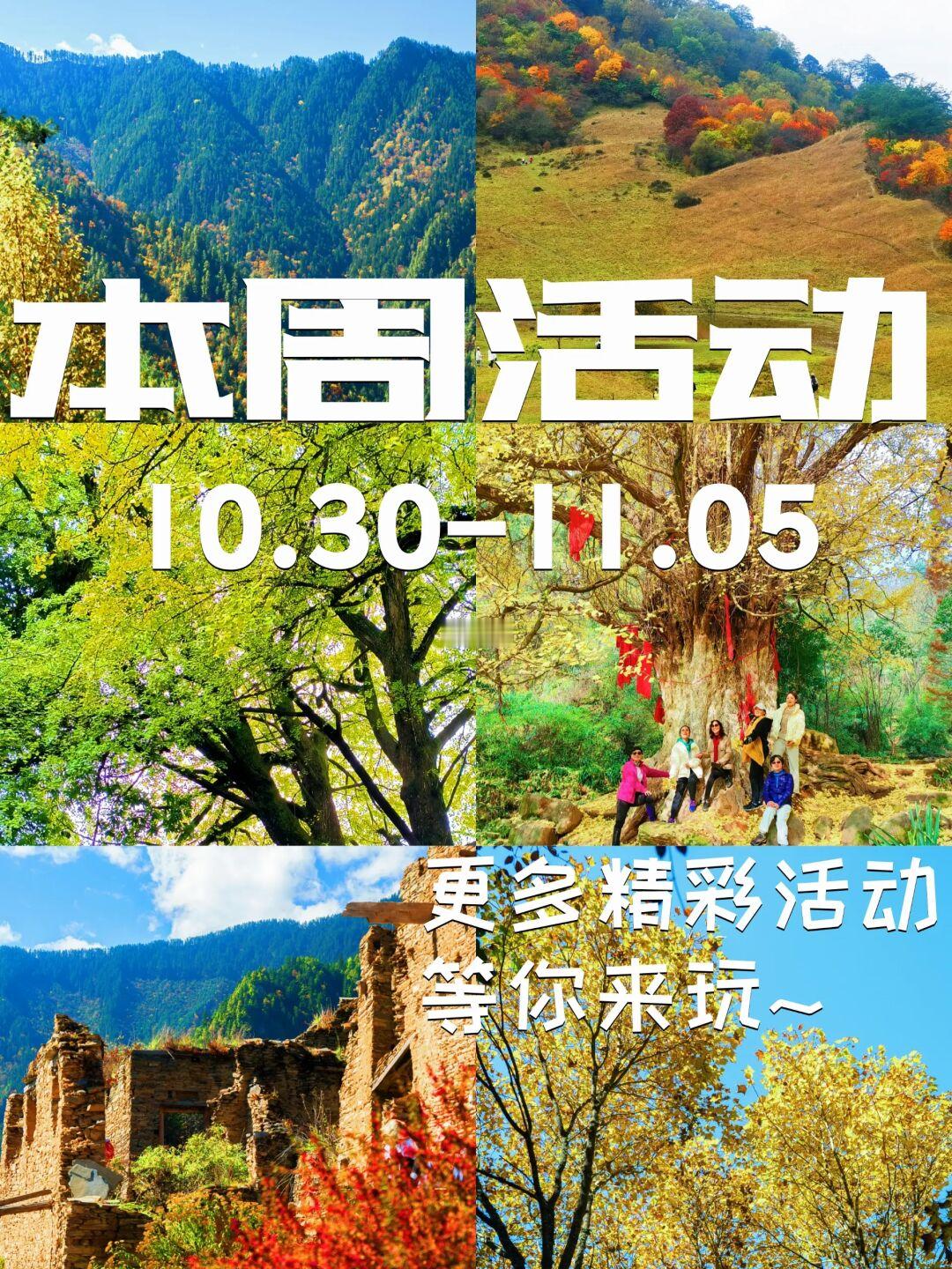 ✔️✔️✔️｜10.30-11.05下周1日活动总览