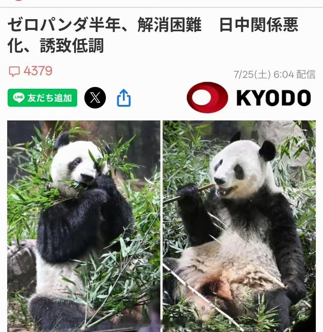 日媒无奈叹息，日本上下对大熊猫执念深重，可重新引进早已遥遥无期。一边不断触碰我国
