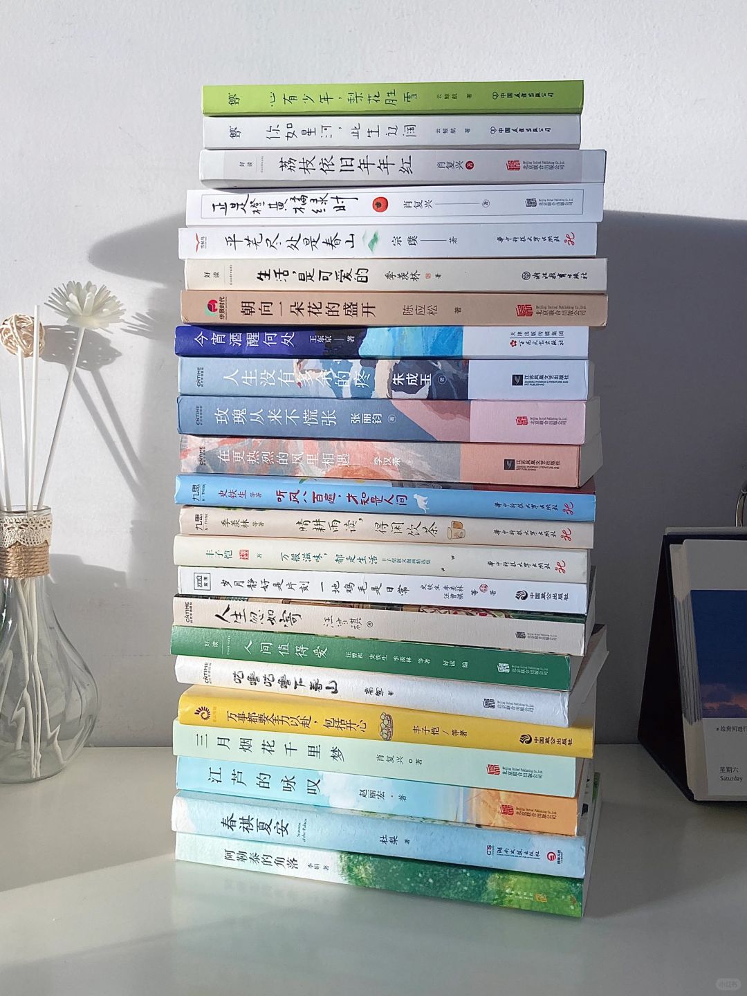 年度之书｜想要提升文笔全靠散文支撑（二）