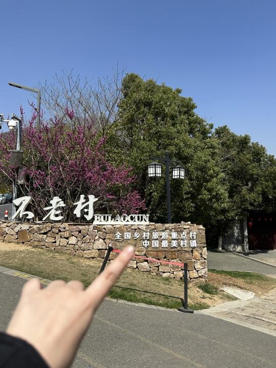 春天的南京含金量也太高了吧……