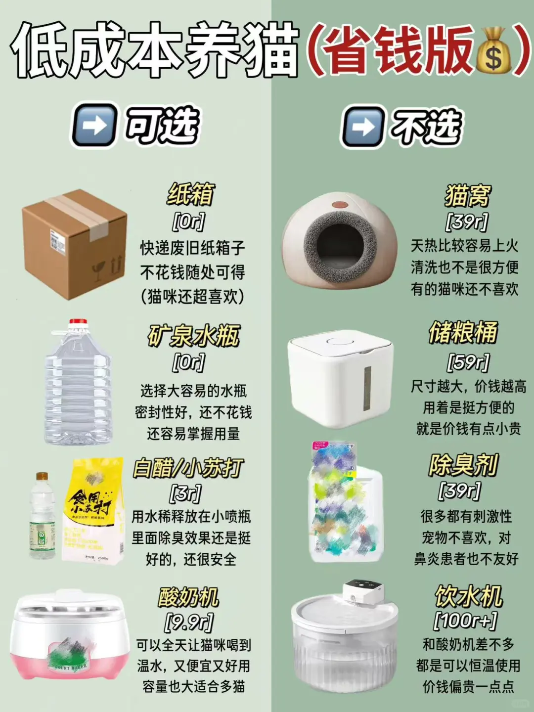 新手养猫不走弯路！省钱的同时养好猫