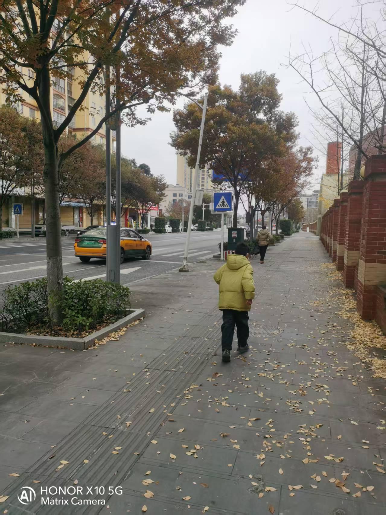 一张图证明冬天来了 一张图真能证明冬天来了！瞧，银杏树已脱去秋装。每年10月底1