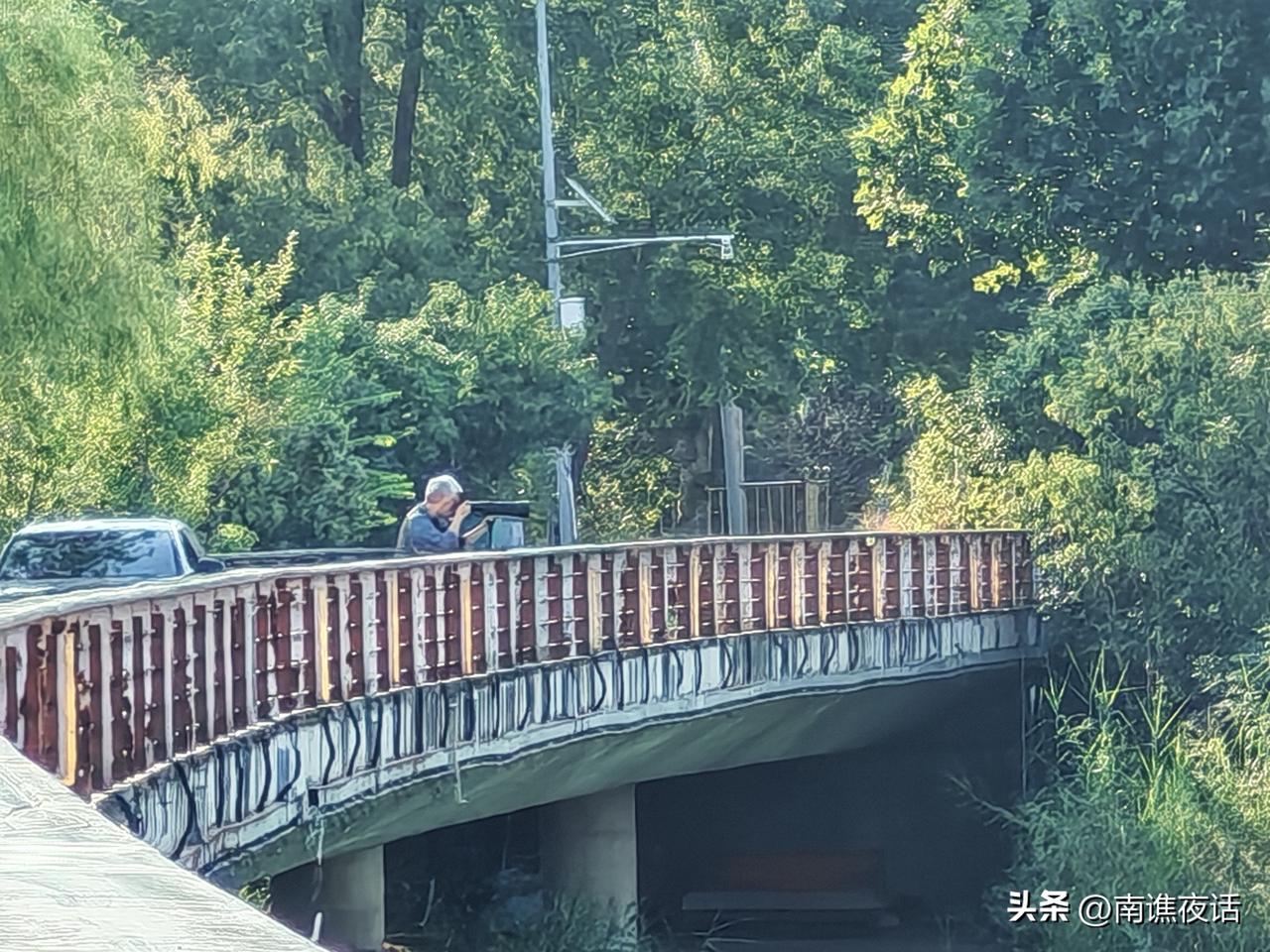 远处一老年摄影爱好者，架起相机在拍鸟。蚌埠龙子湖生态湿地聚集了很多鸟类，常年在湿