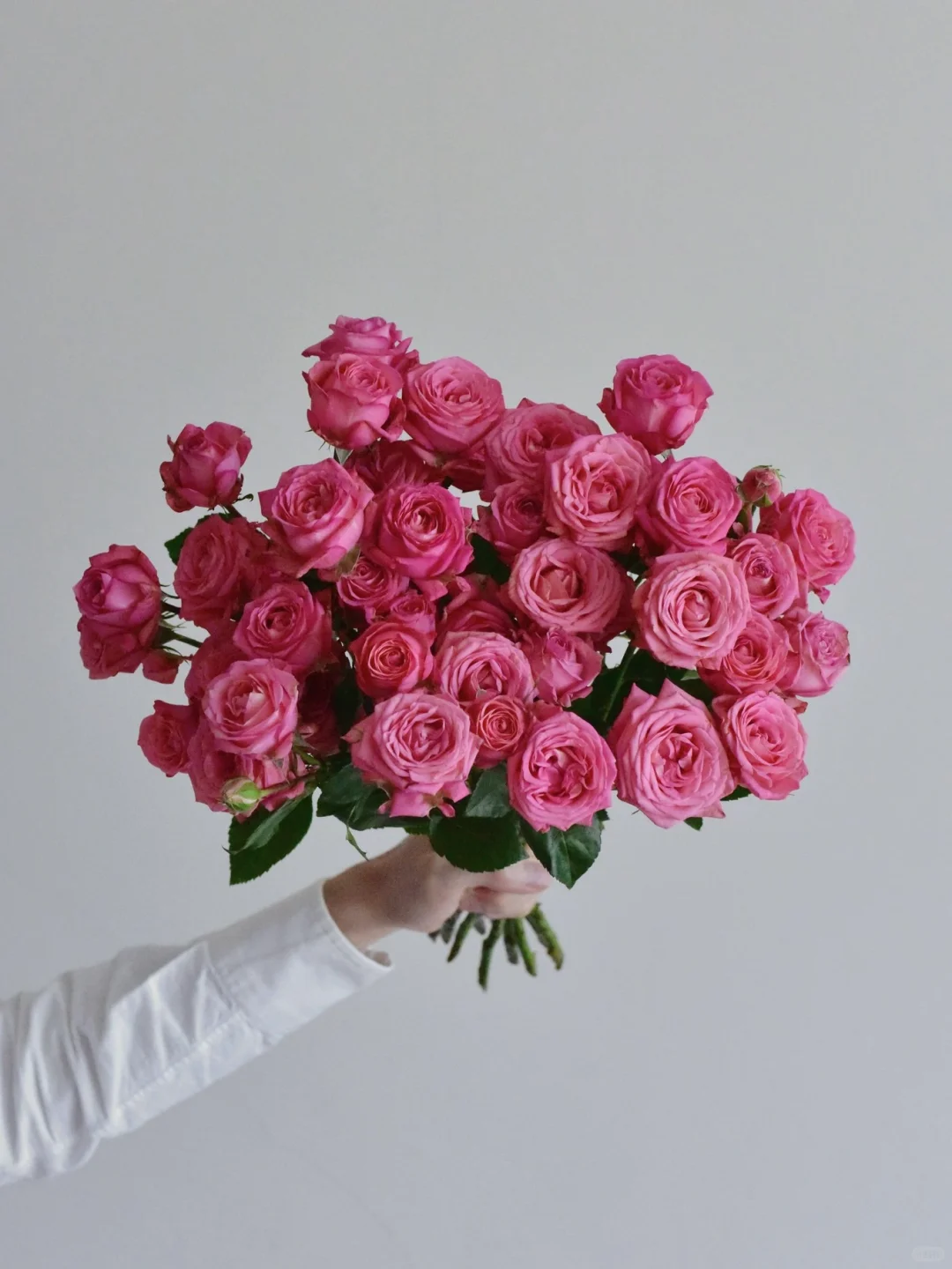 玫瑰·甜蜜气泡