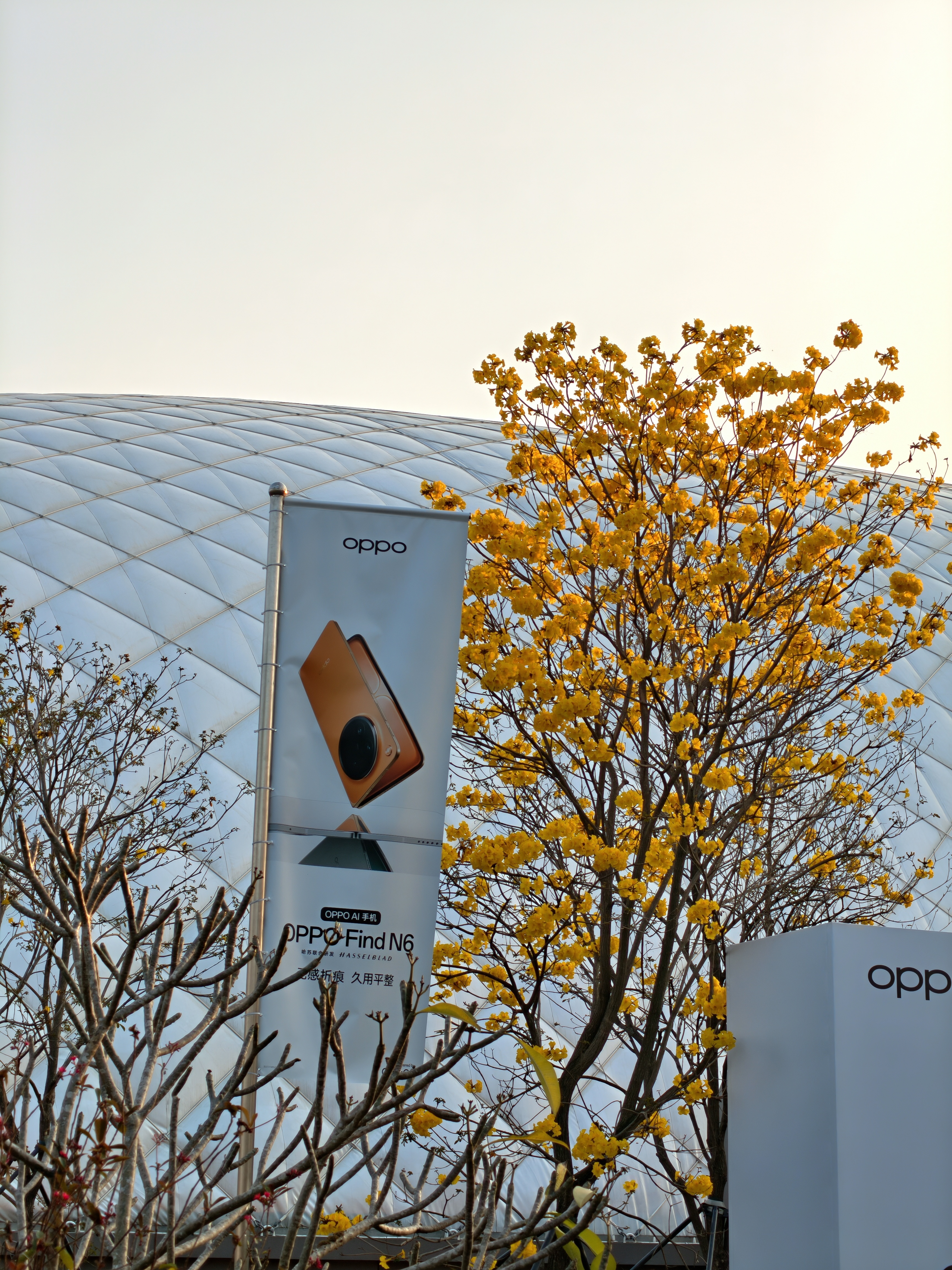 好家伙，OPPO Find N6发布会，竟然是在他们自己新建的园区，这个园区好大