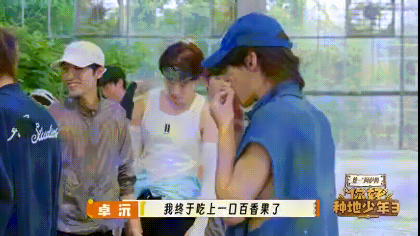 你好种地少年带家人出游 杨幂与欧豪参观大棚产业，惊叹于农作物的茂盛成长，卓沅定格