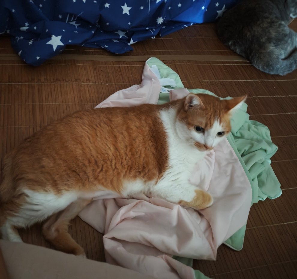 早 ​​​