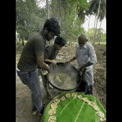 看看这样的东西可以吃吗